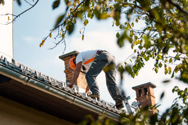 Best Commercial Roofing Services  in Pinckney, MI
