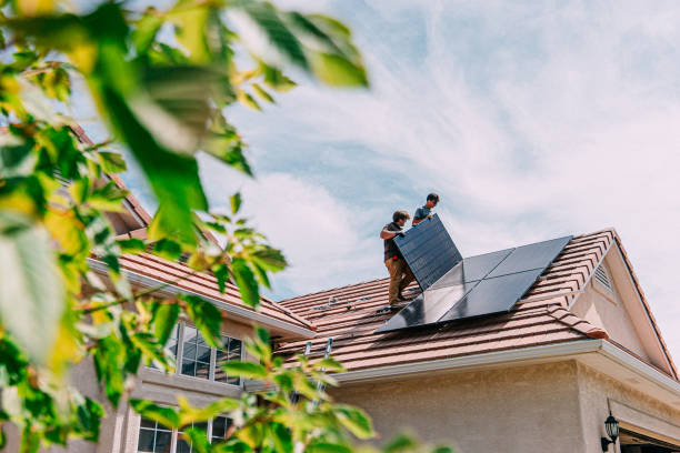 Best Roof Maintenance Services  in Pinckney, MI