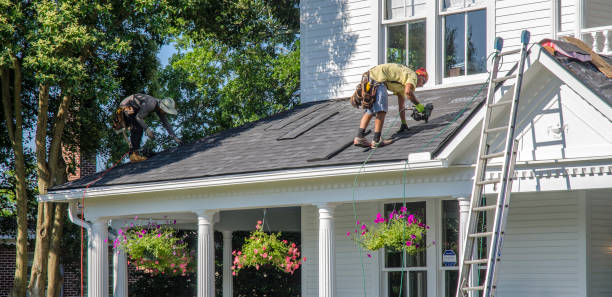 Best Metal Roofing Contractor  in Pinckney, MI