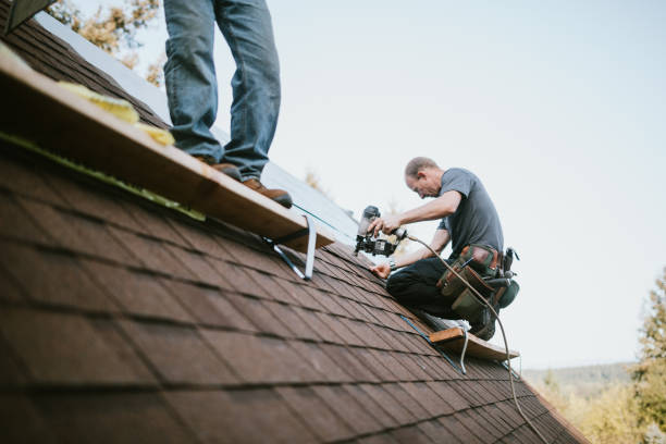 Professional Roofing Contractor in Pinckney, MI